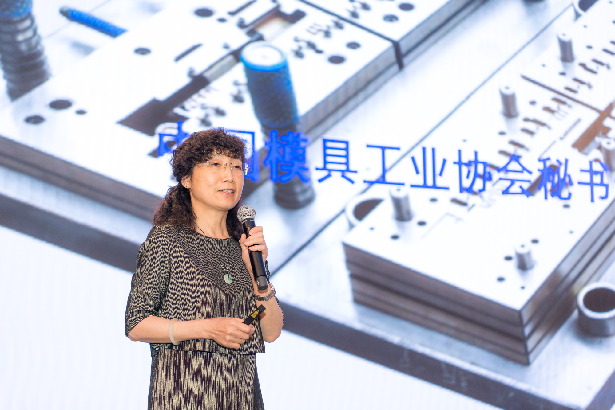 模具研討|“智造”落地，思瑞三坐標助力“數(shù)字北侖”建設(shè)(圖2)